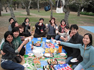 2011NtԌ